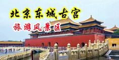 无毛屄屄电影院看电影了，，中国北京-东城古宫旅游风景区